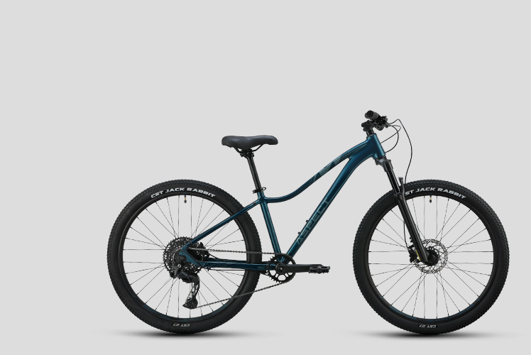 FEMALE HARDTAILS
