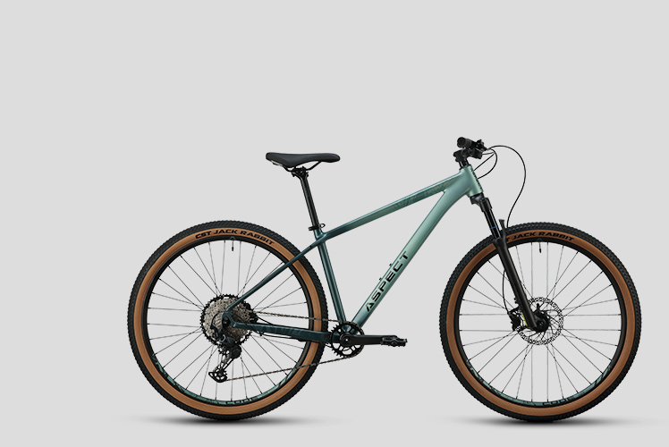 PROGRESSIVE MTB