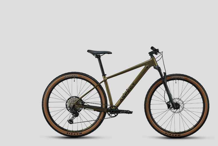 XC MTB