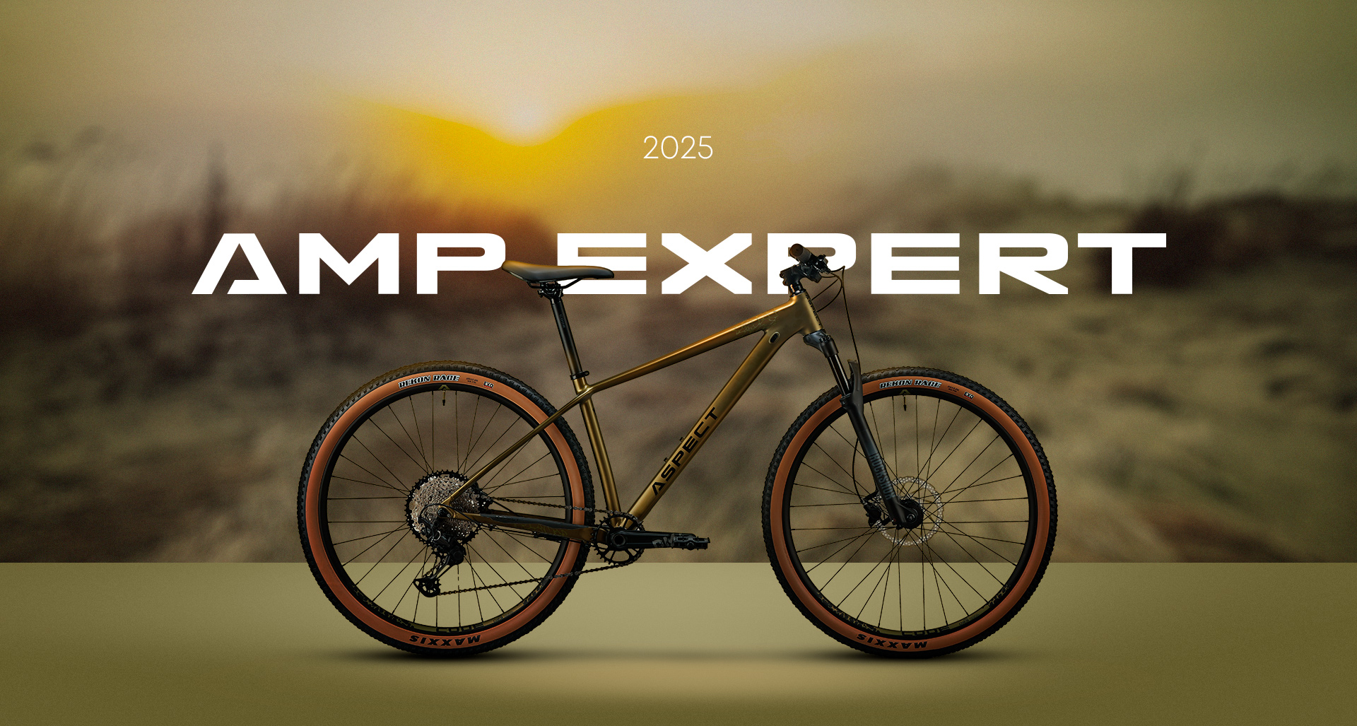 AMP Expert