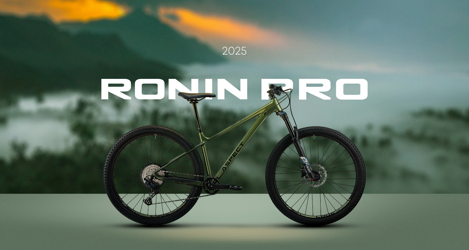 Ronin Pro